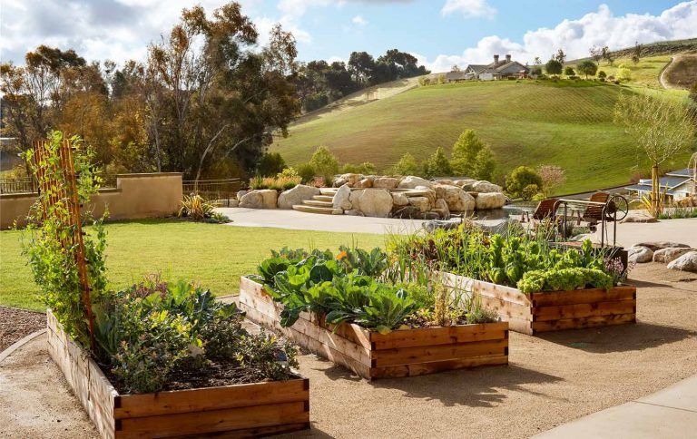 Rustic Contemporary Homes Outdoor Area Landscaping