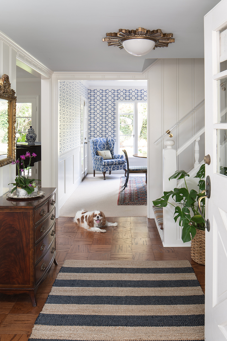 Cape Cod style remodeled foyer with cute small dog